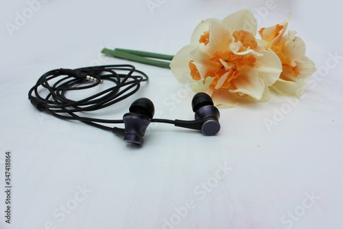 Obraz na płótnie Black headphones isolated on white, in the background flowers. Black earphone on a background of yellow daffodils isolated on white. Side view, copyspace w salonie
