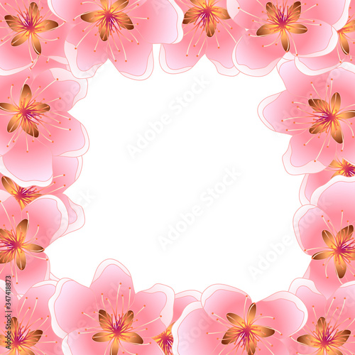 Peach Cherry Blossom Banner Background