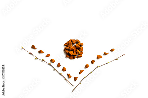 chaga mushroom. composition of small dry chopped pieces of birch tree fungus chaga and birch twigs isolated on a white background. concept of alternative natural medicine photo