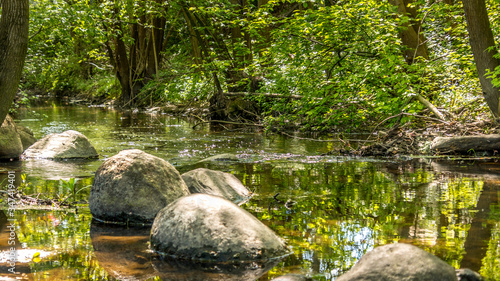 A small river surrounded by green plants and trees.