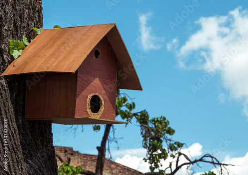 Little bird house or bird feeder hanging from a tree against blue sky. © Cristi