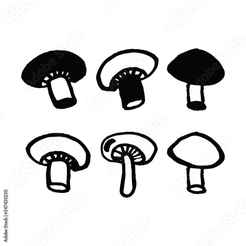 Set champignon mushrooms in doodle style isolated on white background. Vector hand drawn outline and silhouette simple illustration.
