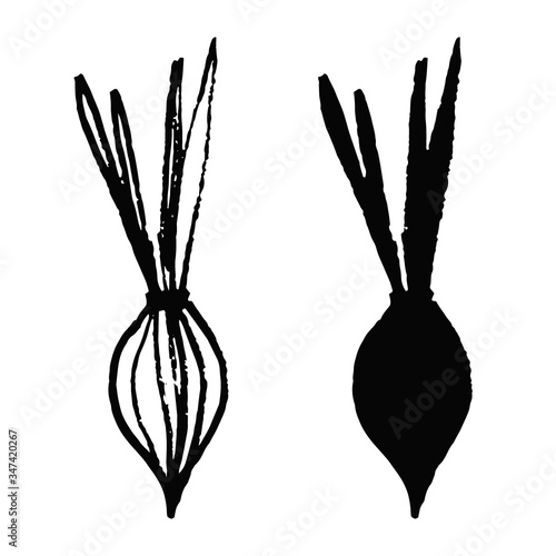 Set onion in doodle style isolated on white background. Vector hand drawn outline and silhouette simple illustration. Eco product. Bow vegetable