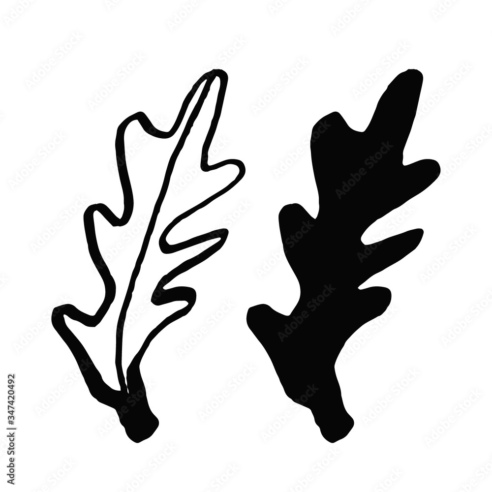 Obraz premium Set arugula in doodle style isolated on white background. Vector hand drawn outline and silhouette simple illustration. Eco product.
