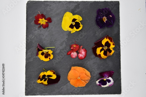 Fotografi fleurs comestibles