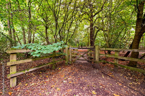 Entrance with closed gate to forest in Cheshire UK photo