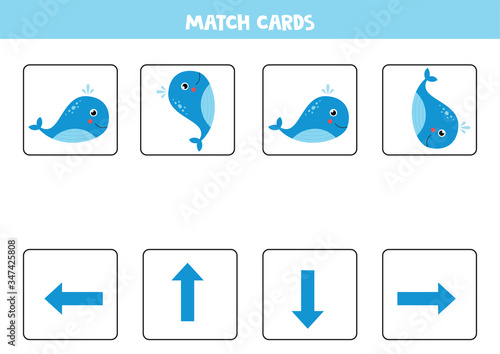 Match cards with orientation of blue whale.