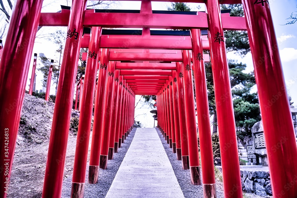 Traditional Japanese red Torii gates at the entrance of an Inari Shinto shrine in Hokkaido. Traditional Japanese red Torii gates at the entrance of an Inari Shinto shrine in Hokkaido.