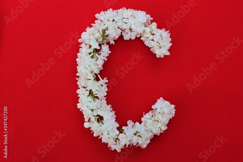 Obraz na płótnie Letter C made from flowers of white lilac on a red background. Flowers composition. Flat lay. Letter C made of white flowers. Spring concept. Floral letters of the alphabet for design and decorati w salonie