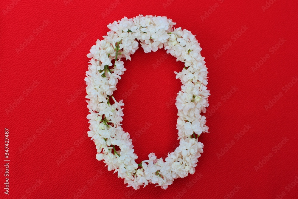 Letter O made from flowers of white lilac on a red background. Flowers composition. Flat lay. Letter O made of white flowers. Spring concept. Floral letters of the alphabet for design and decorati