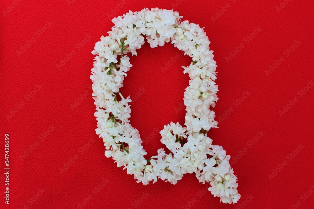 Letter Q made from flowers of white lilac on a red background. Flowers composition. Flat lay. Letter Q made of white flowers. Spring concept. Floral letters of the alphabet for design and decorati