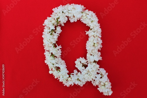 Obraz na płótnie Letter Q made from flowers of white lilac on a red background. Flowers composition. Flat lay. Letter Q made of white flowers. Spring concept. Floral letters of the alphabet for design and decorati w salonie