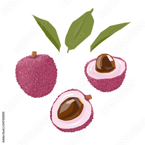 Lychee. Set of vector illustrations.Isolated on a white background.