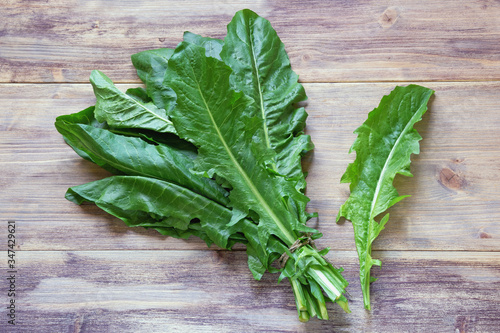 Balkan cuisine. Zucenica leaves ( wild chicory ) -  leafy vegetables, one of the most popular ingredients of the Kotor Bay cuisine