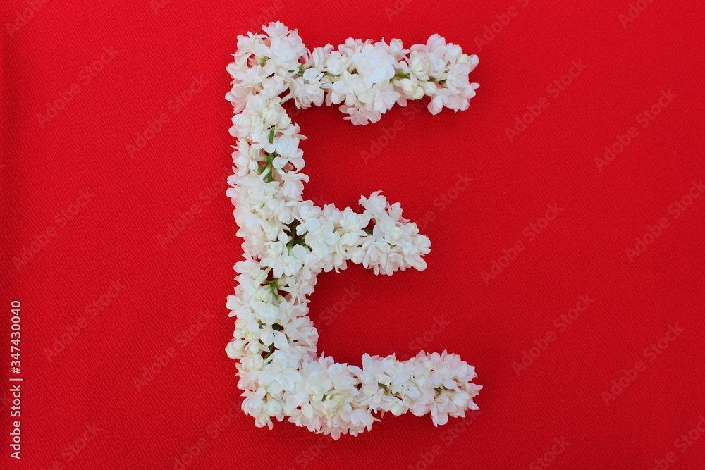 Letter E made from flowers of white lilac on a red background. Flowers composition. Flat lay. Letter E made of white flowers. Spring concept. Floral letters of the alphabet for design and decorati