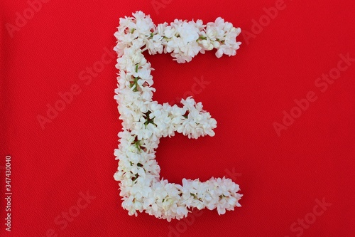 Obraz na płótnie Letter E made from flowers of white lilac on a red background. Flowers composition. Flat lay. Letter E made of white flowers. Spring concept. Floral letters of the alphabet for design and decorati w salonie