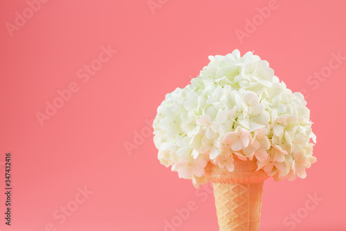 A bouquet of white flowers in an ice cream cone on a pink background.