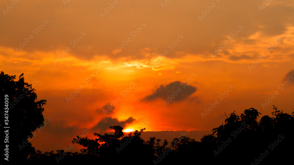 siluet tree and sunset, peace view sunset. color golden, yellow, orange make dramatic view on sunset
