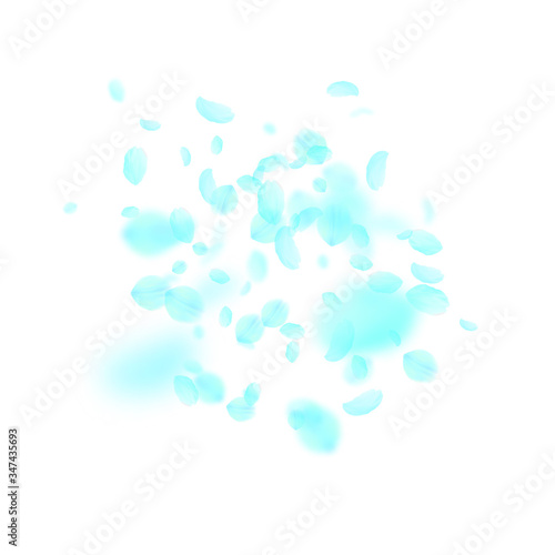 Turquoise flower petals falling down. Pleasing rom