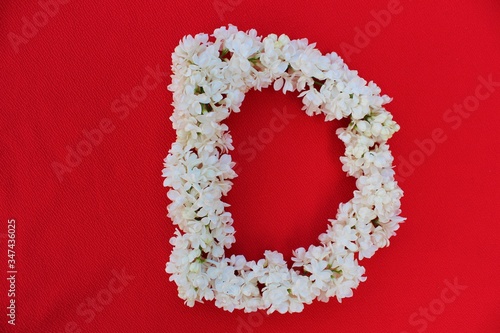 Obraz na płótnie Letter D made from flowers of white lilac on a red background. Flowers composition. Flat lay. Letter D made of white flowers. Spring concept. Floral letters of the alphabet for design and decorati w salonie