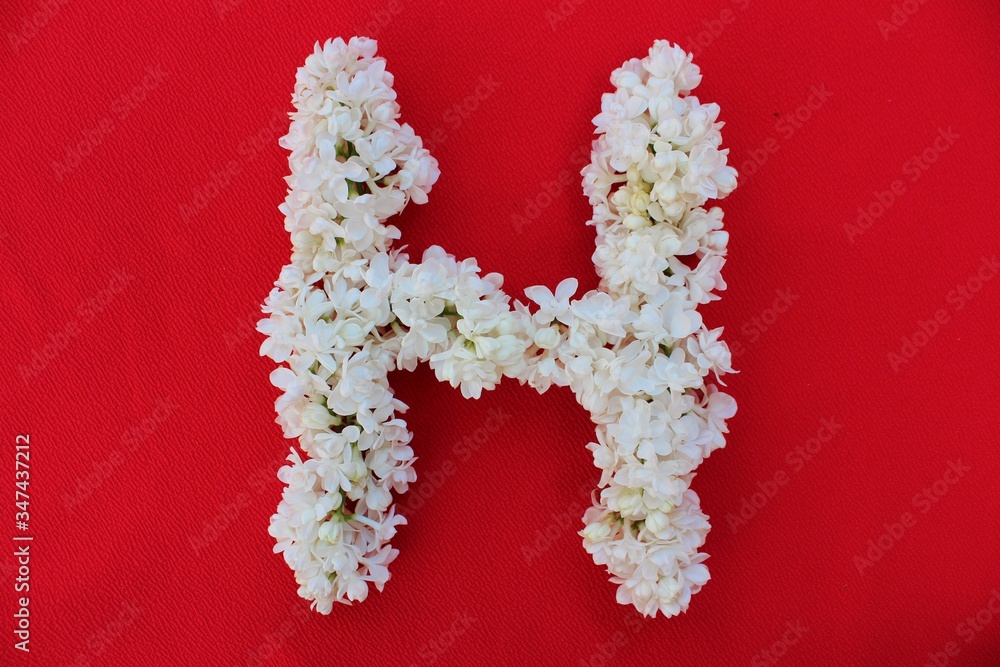 Letter H made from flowers of white lilac on a red background. Flowers composition. Flat lay. Letter H made of white flowers. Spring concept. Floral letters of the alphabet for design and decorati