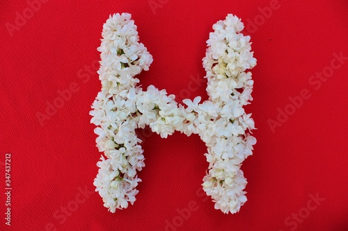 Obraz na płótnie Letter H made from flowers of white lilac on a red background. Flowers composition. Flat lay. Letter H made of white flowers. Spring concept. Floral letters of the alphabet for design and decorati w salonie