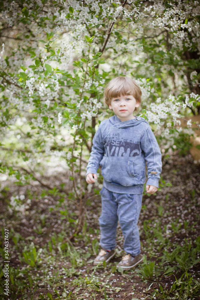 little boy in a flowering garden in spring little boy in a flowering garden in spring