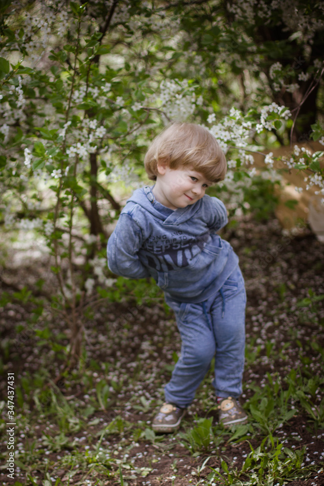little boy in a flowering garden in spring little boy in a flowering garden in spring