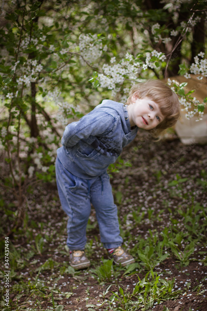 little boy in a flowering garden in spring little boy in a flowering garden in spring