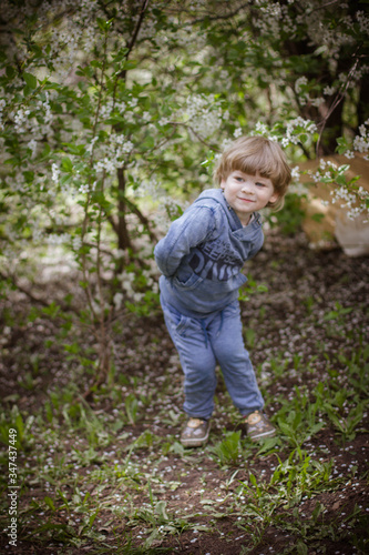 little boy in a flowering garden in spring
