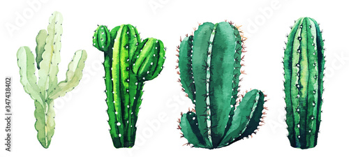 Fotografia Watercolor set of cactus plants and succulents