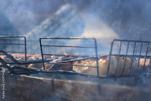 barbecue picnic, meat is roasted in the grill