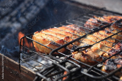 barbecue picnic, meat is roasted in the grill