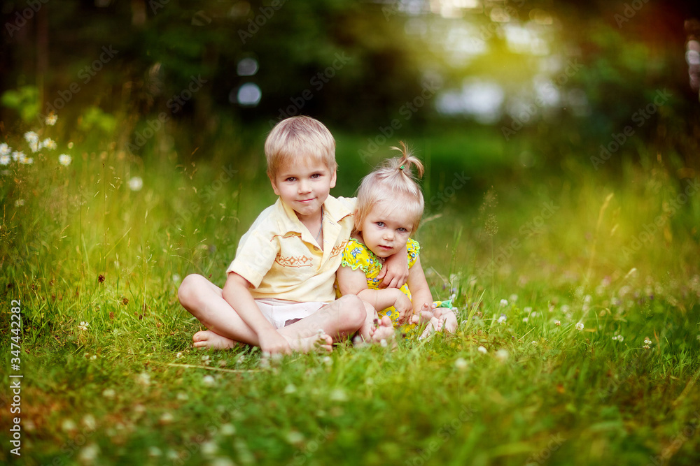 children, brother and sister, walking in the meadow, road, happy child, nature, summer in the village children, brother and sister, walking in the meadow, road, happy child, nature, summer in the village