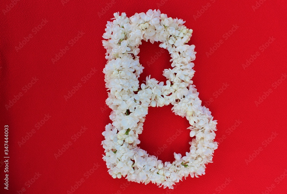 Letter B made from flowers of white lilac on a red background. Flowers composition. Flat lay. Letter B made of white flowers. Spring concept. Floral letters of the alphabet for design and decorati