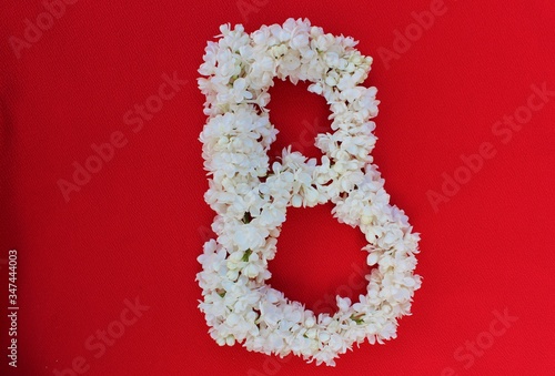 Obraz na płótnie Letter B made from flowers of white lilac on a red background. Flowers composition. Flat lay. Letter B made of white flowers. Spring concept. Floral letters of the alphabet for design and decorati w salonie