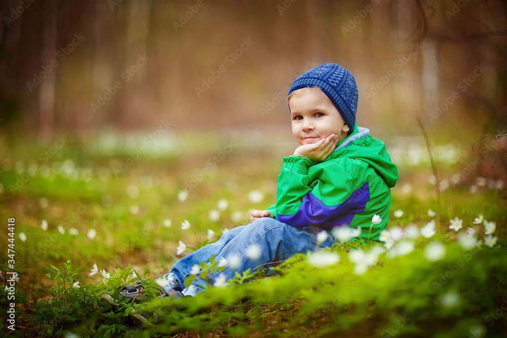 boy child walks in the forest in spring, snowdrops, first flowers, April, nature