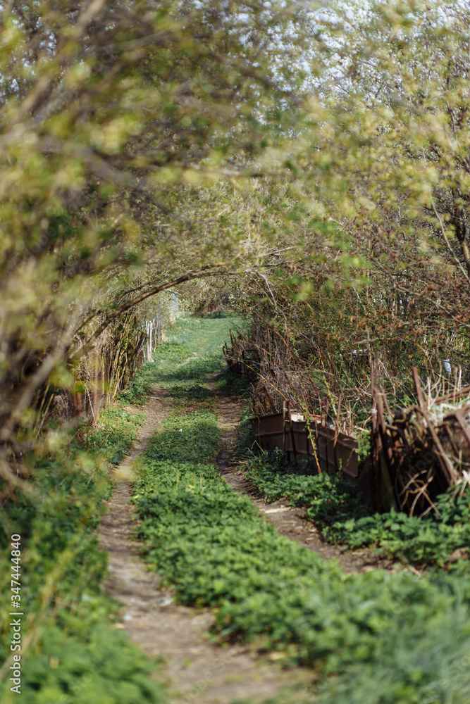 .trail rural road garden wooden fence green grass