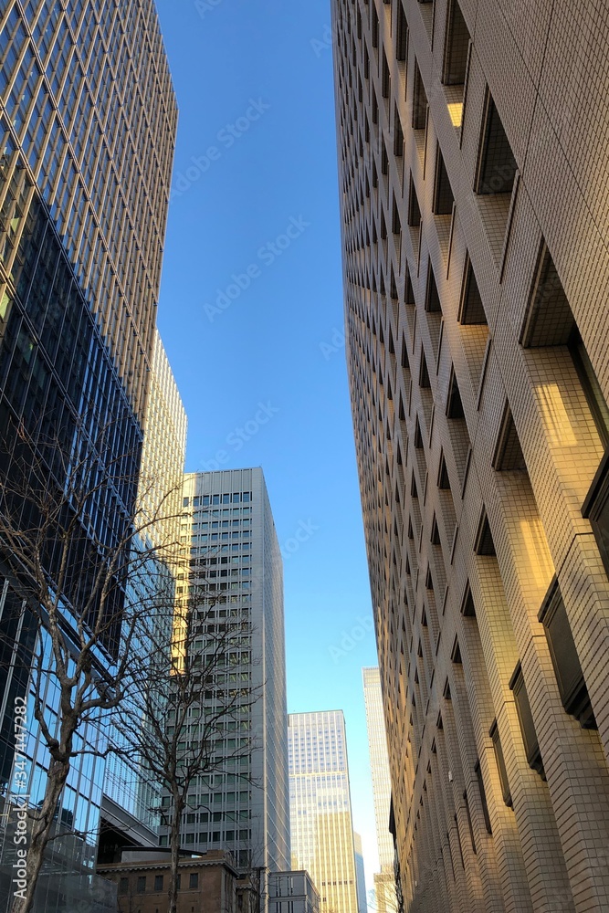 Obraz premium 丸の内のビル