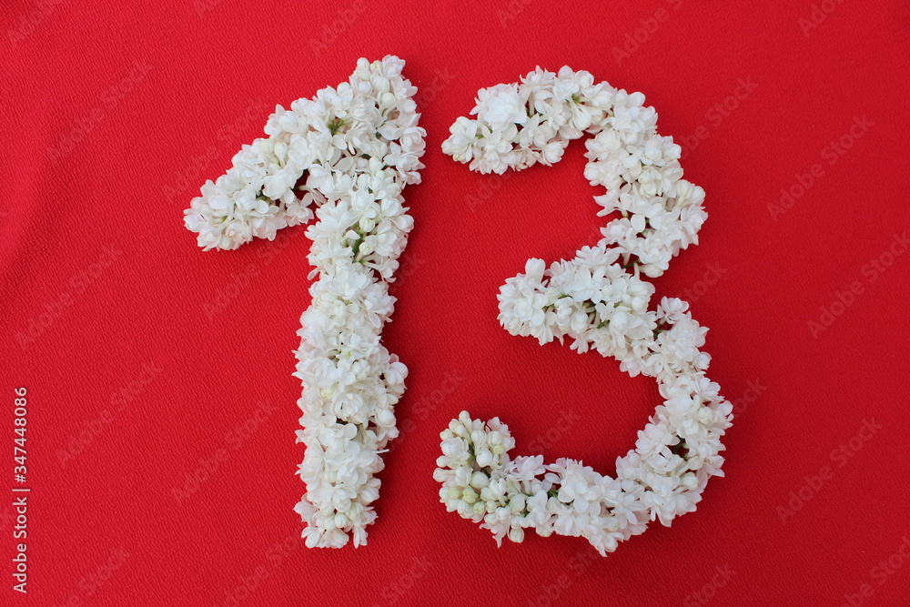 The number 13 is written in white lilac flowers on a red background. The number thirteen is written in fresh flowers, isolated on red. Arabic numeral lined with flowers.