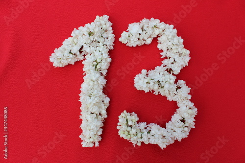 Obraz na płótnie The number 13 is written in white lilac flowers on a red background. The number thirteen is written in fresh flowers, isolated on red. Arabic numeral lined with flowers. w salonie