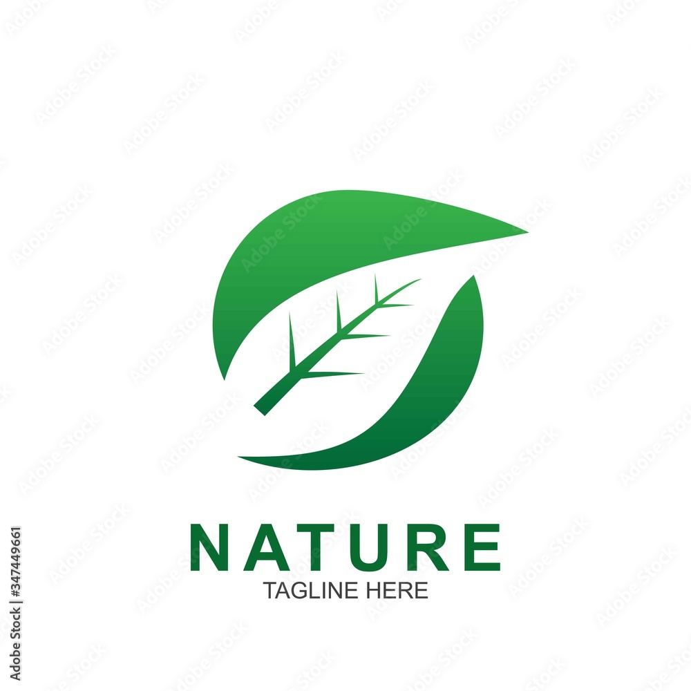 Leaf design logo Template Leaf design logo Template