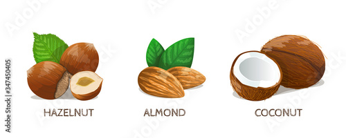 Nuts Icon Set: Hazelnut, Almond, Coconut. Vector Illustration.