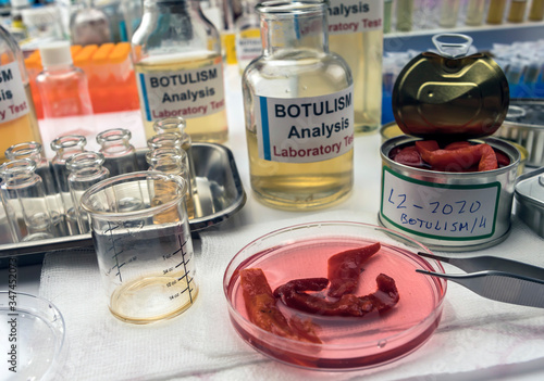 Experienced laboratory scientist analyzes red peppers from a canned food can to analyze botulism infection in sick people, conceptual image photo