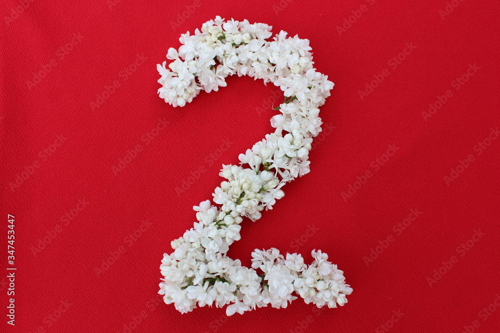 The number 2 is written in white lilac flowers on a red background. The number two is written in fresh flowers, isolated on red. Arabic numeral lined with flowers.