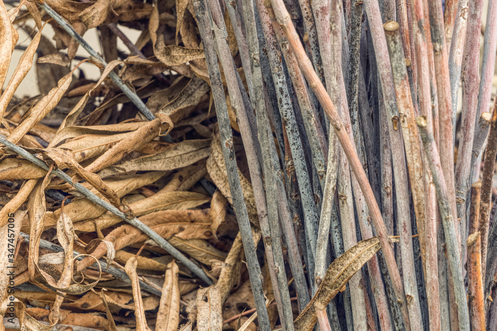 Fototapeta premium Fallen dry stale leaves. Autumn faded background 