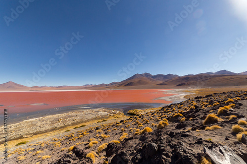 Stunning panoramic view of Laguna Colorada  in Bolivia