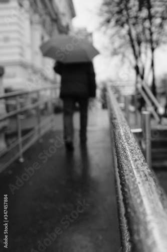 people walking in the city