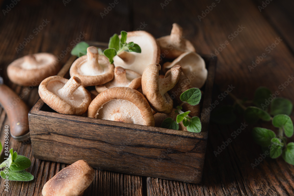 Heap of immunity boosting fresh Shiitake mushrooms in a bowl Heap of immunity boosting fresh Shiitake mushrooms in a bowl