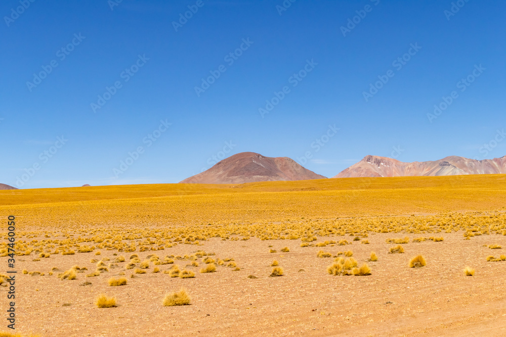 Panoramic view of  Siloli Desert, in Bolivia